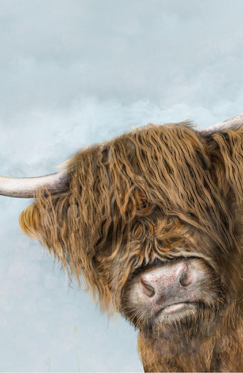 Hamish The Highland Coo Notebook (Colour)