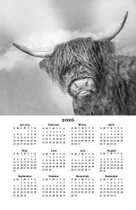 Hamish the Highland Coo 2026 Calendar