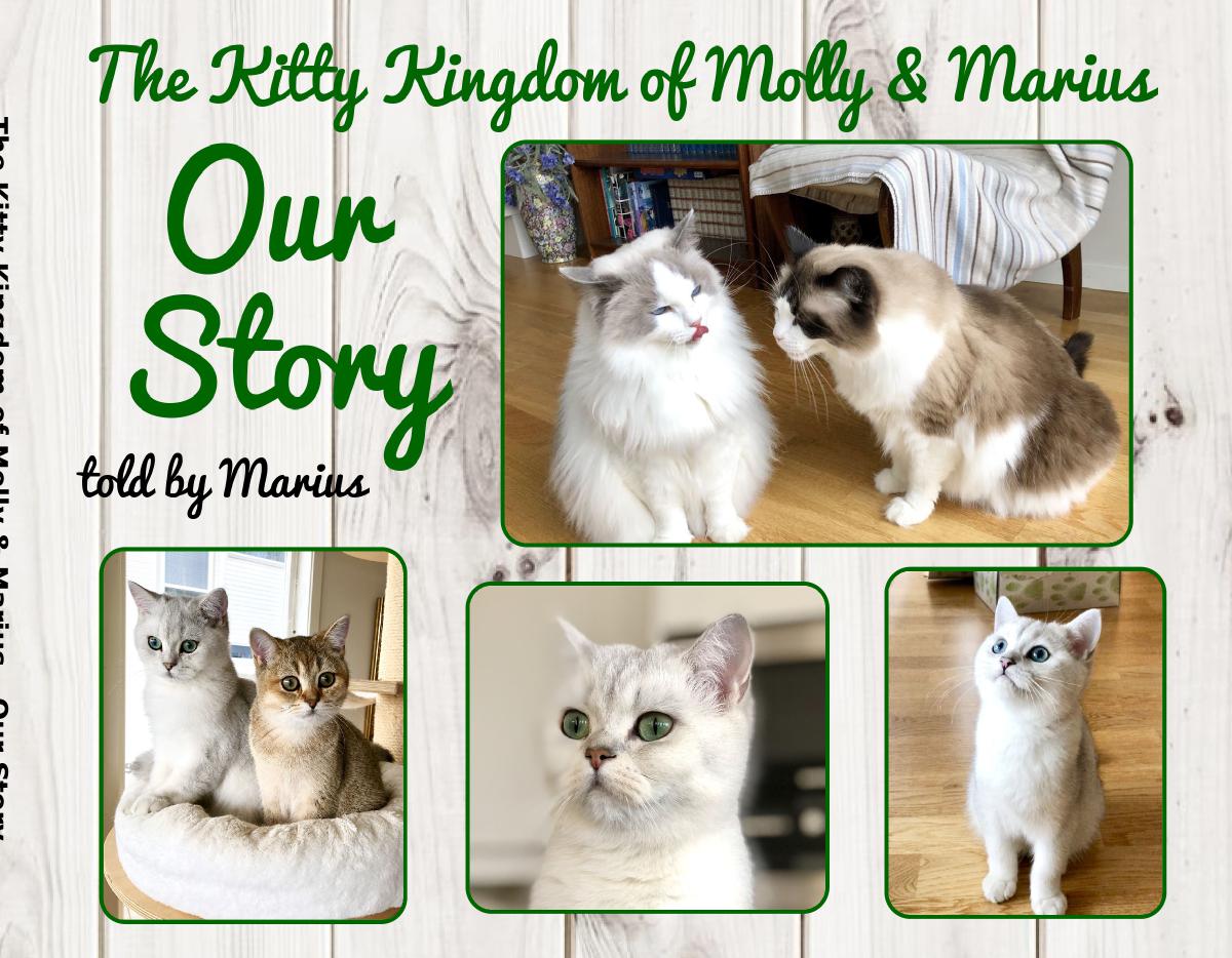 Our story, a Photo book from The Kitty Kingdom