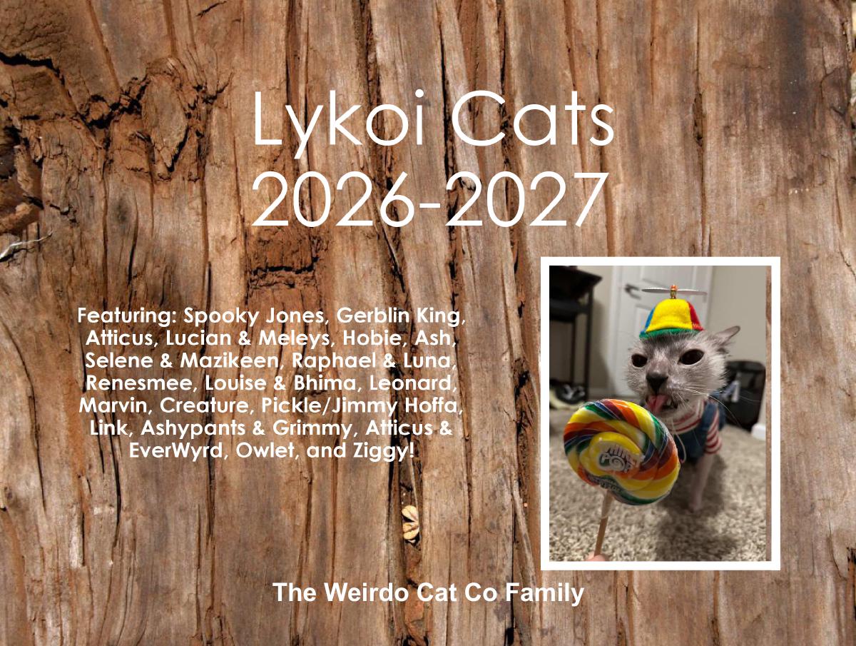 Weirdo Cat Co Lykoi Family Calendar