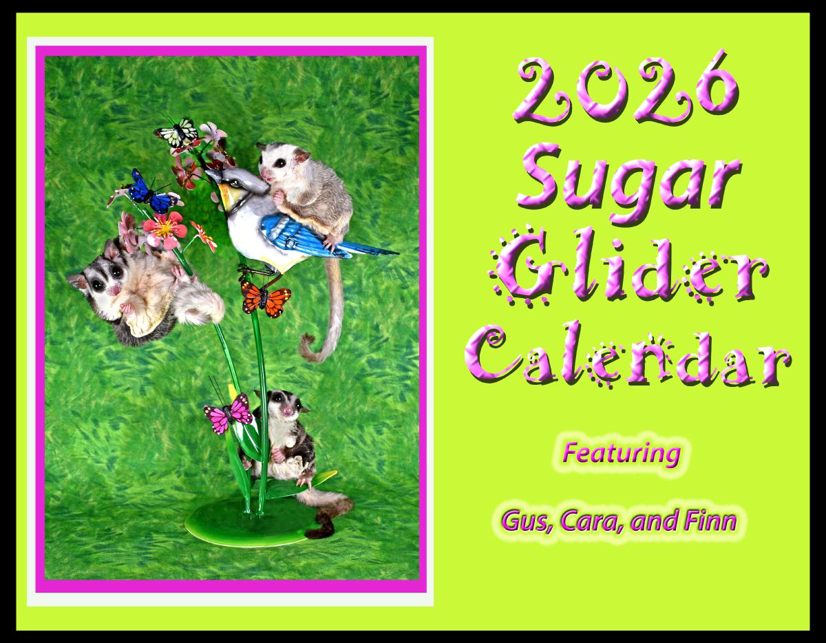 2026 Sugar Glider Calendar