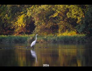 2026 Bird Calendar by SarahThrockmortonPhotography