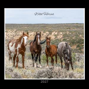 Wild Horse Calendar 2027