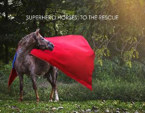 2026 HEART OF PHOENIX SUPER HERO HORSES