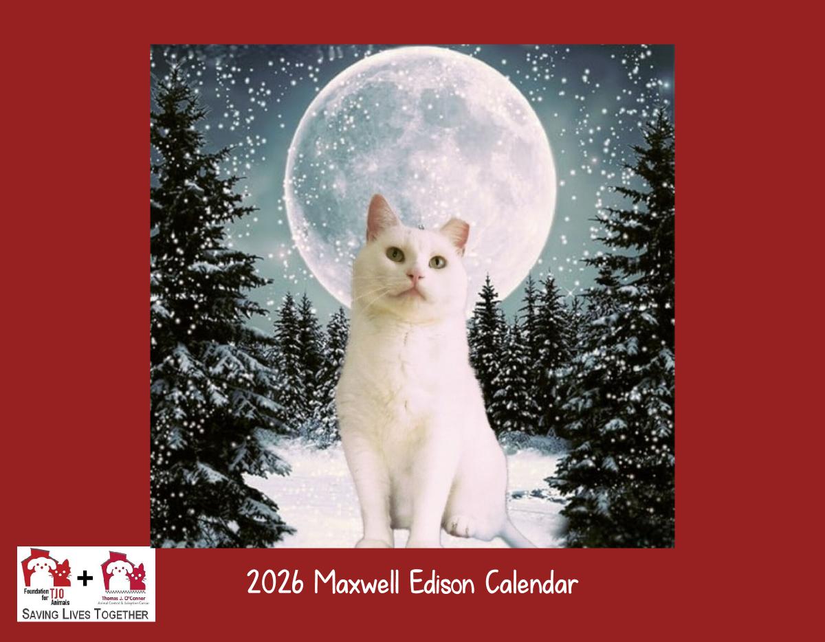 2026 Maxwell Edison Wall Calendar