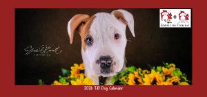 2026 TJO Dog Desk Calendar