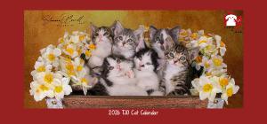 2026 TJO Cat Desk Calendar