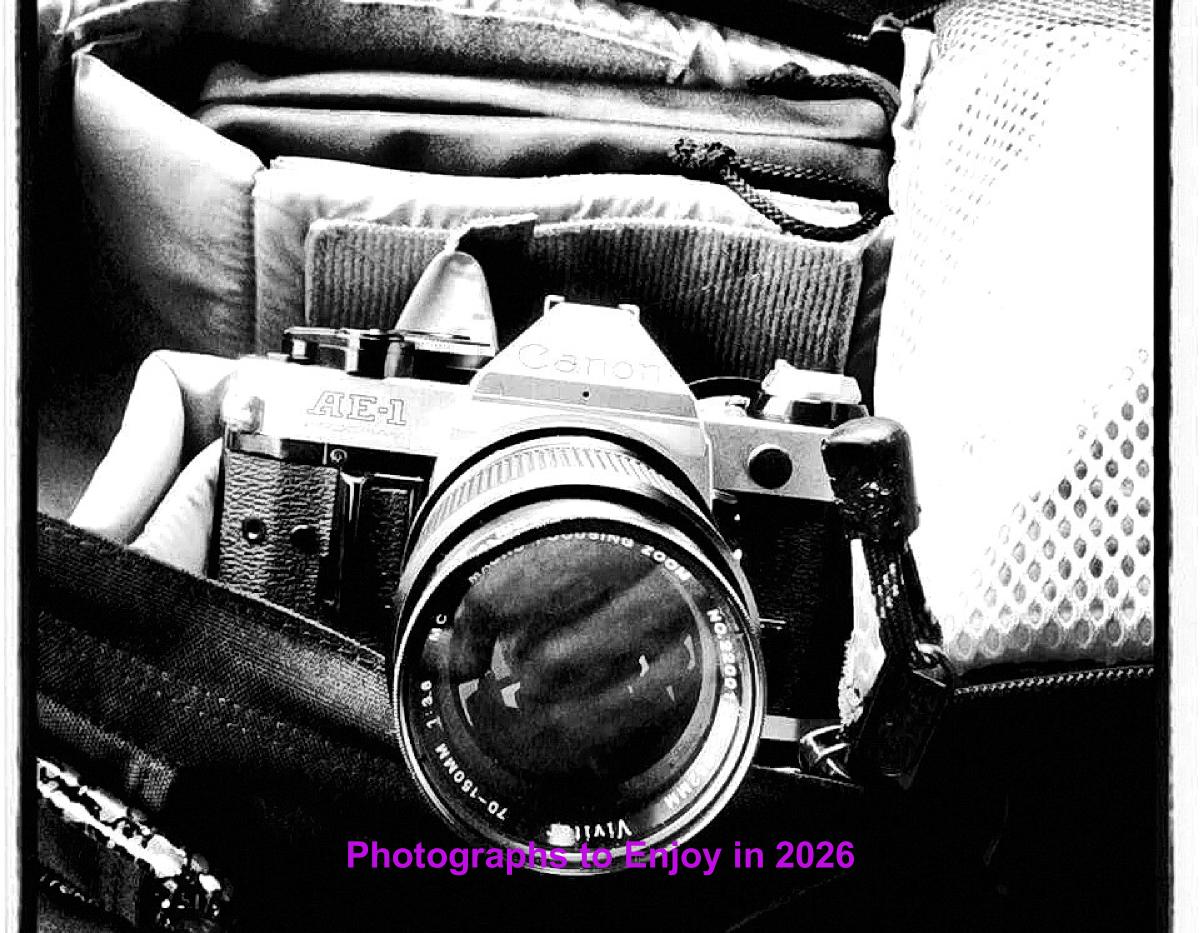 Photos to Enjoy in 2026