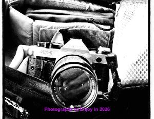 Photos to Enjoy in 2026