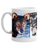 Sled Dog Energy