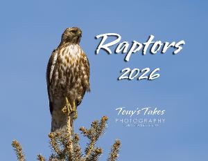 Raptors 2026