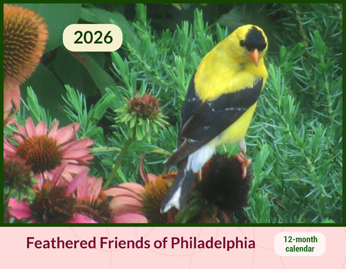 Feathered Friends of Philadelphia