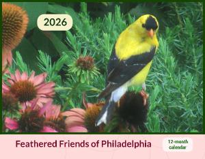 Feathered Friends of Philadelphia