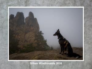 2026 Silken Windhound Calendar