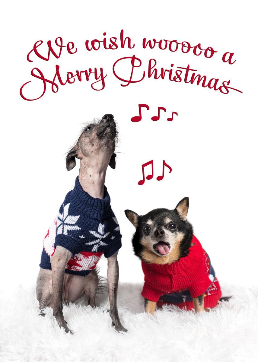 We Wish Wooooo a Merry Christmas