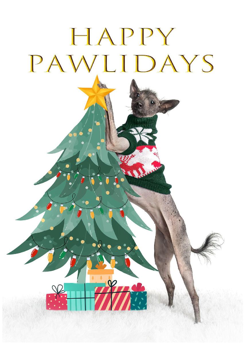 Happy Pawlidays