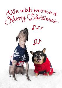 We Wish Wooooo a Merry Christmas