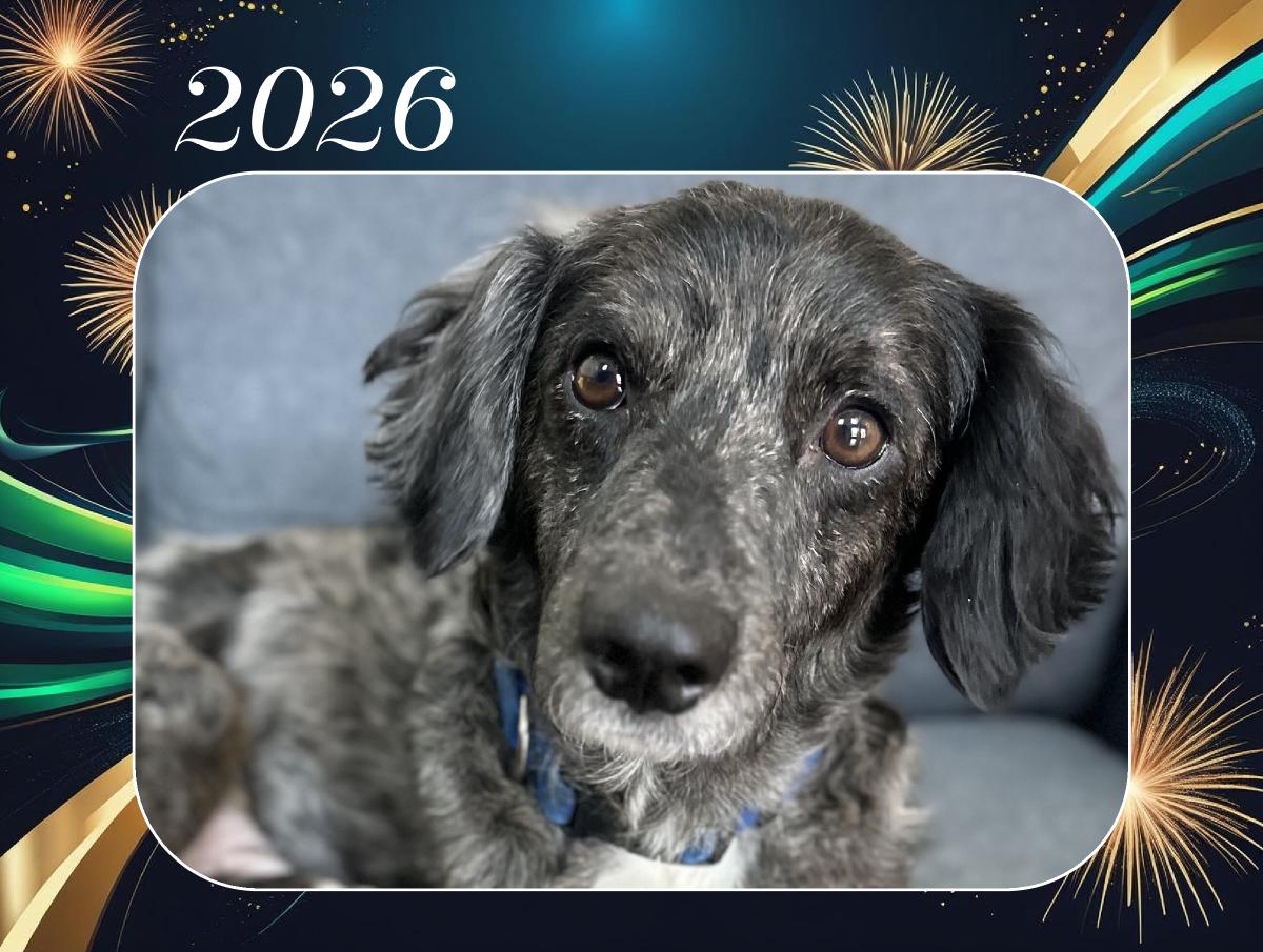 2026 ATDR Wall Calendar