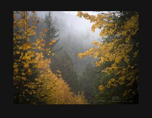 2026 Oregon Landscapes Calendar