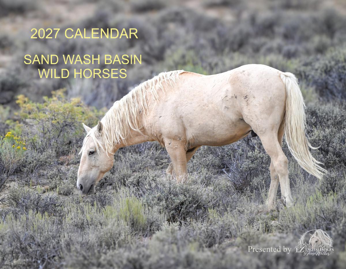 2027 Calendar Sand Wash Basin Wild Horses $24.99