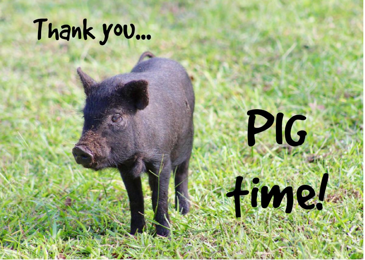 Thank you... PIG Time!