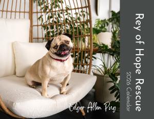 2026 Rey of Hope Rescue Dog Calendar
