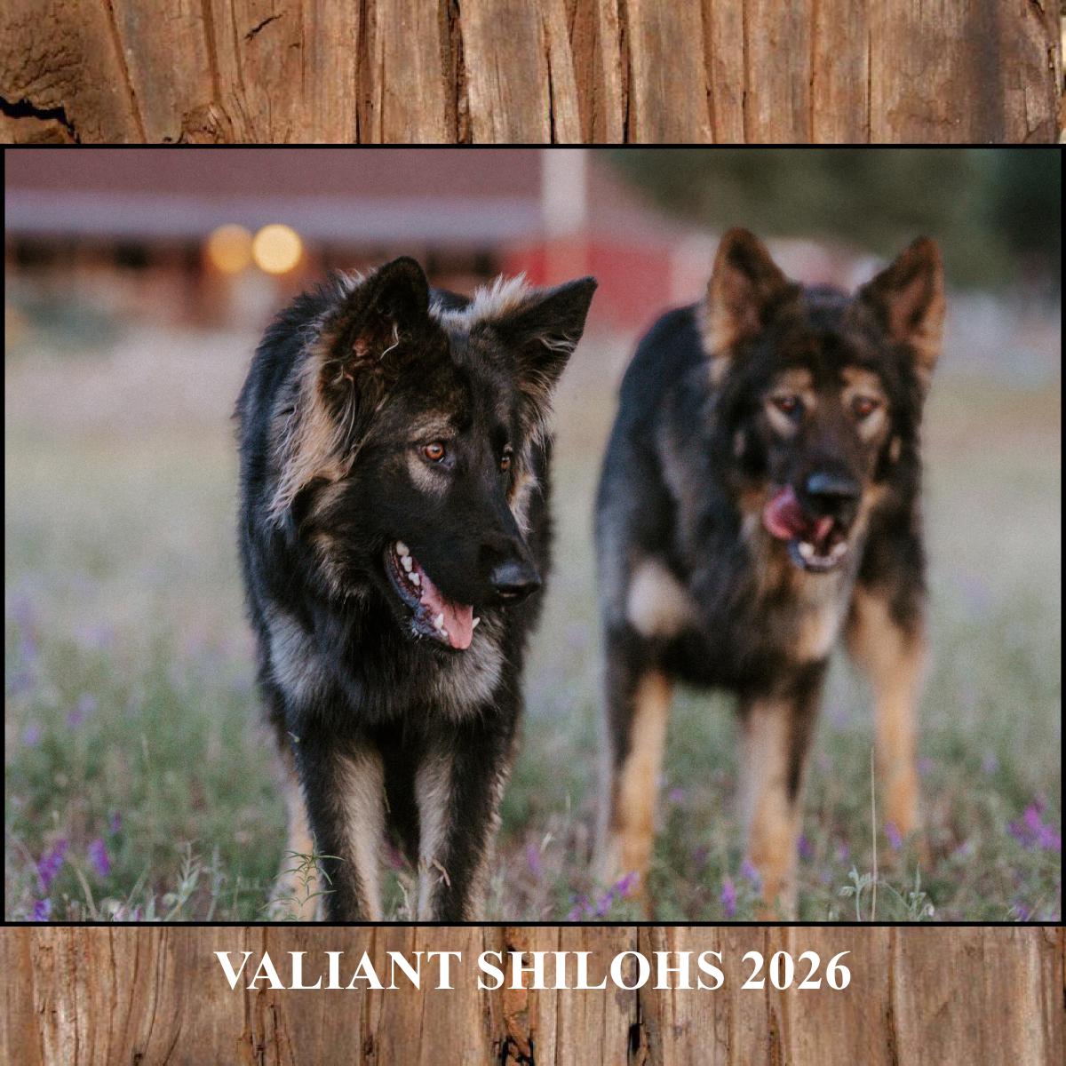 Valiant Shilohs 2026 Calendar