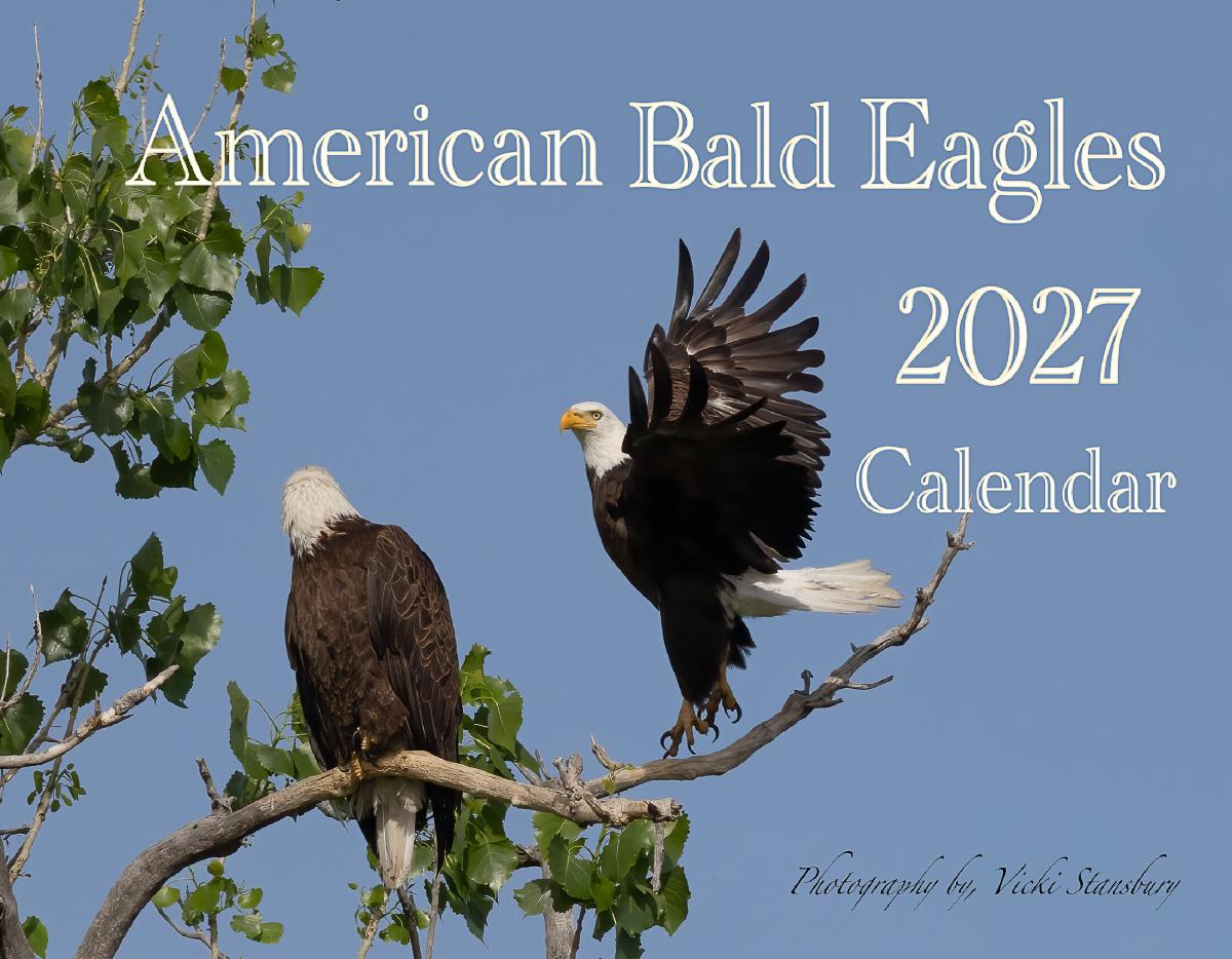 American Bald Eagles Calendar 2027