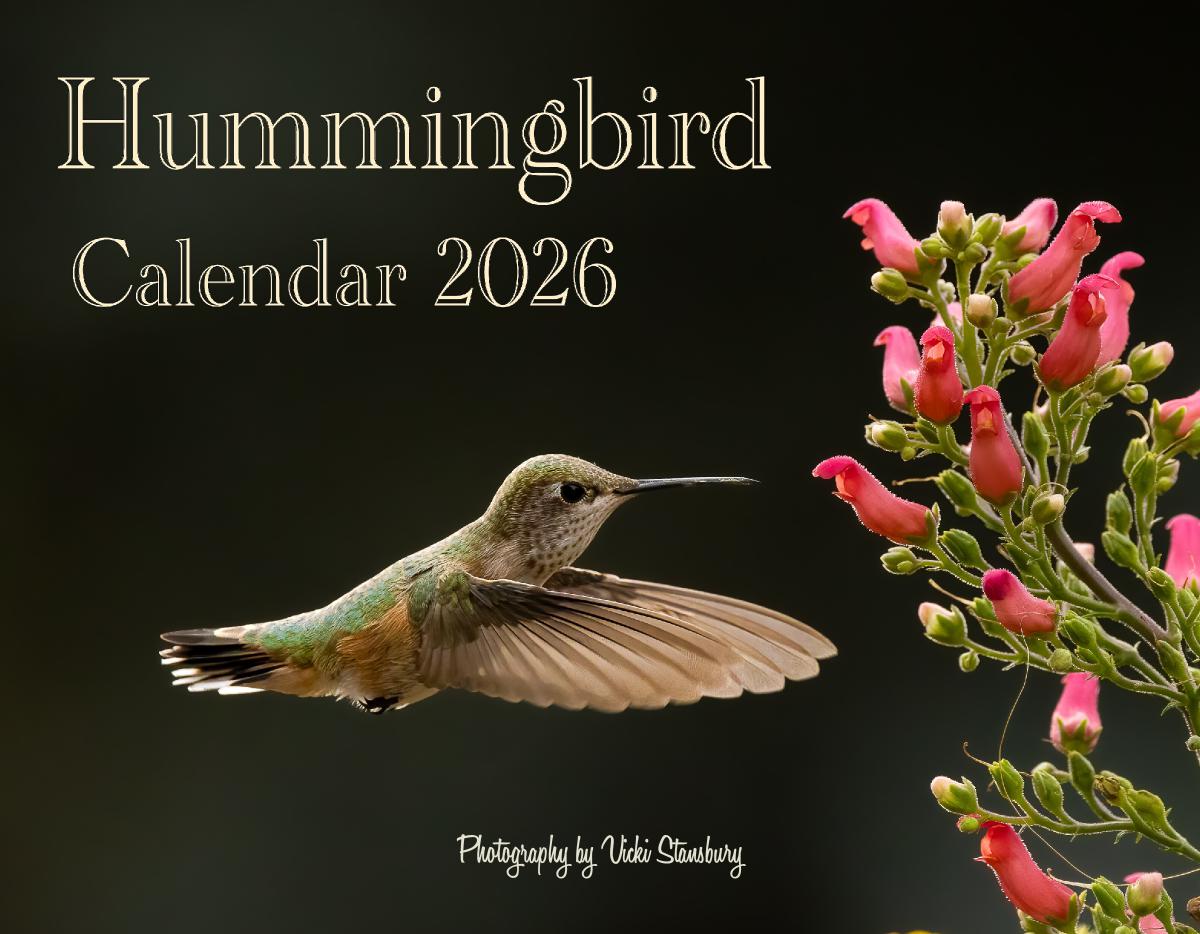 Hummingbird Calendar 2026