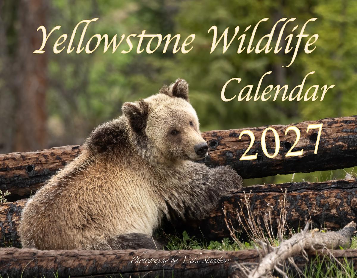 Yellowstone Wildlife Calendar 2027