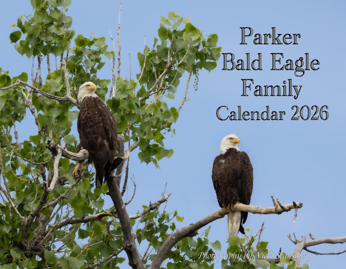 Parker Bald Eagle Family Calendar 2026