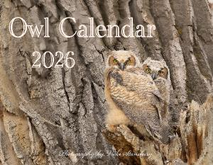 Owl Calendar 2026
