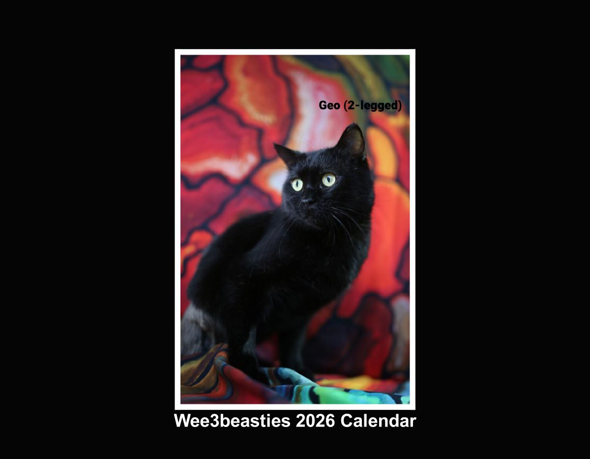 Wee3beasties 2026 Calendar