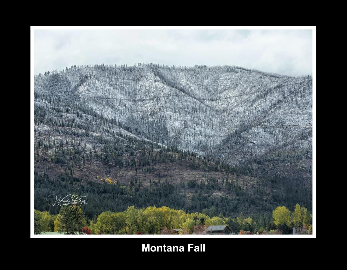 Montana Fall