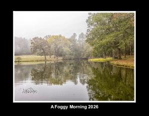 A Foggy Morning