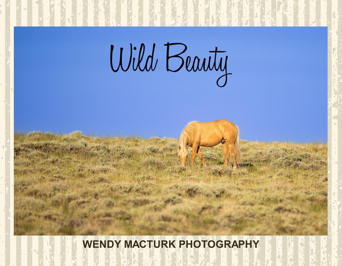 WILD BEAUTY