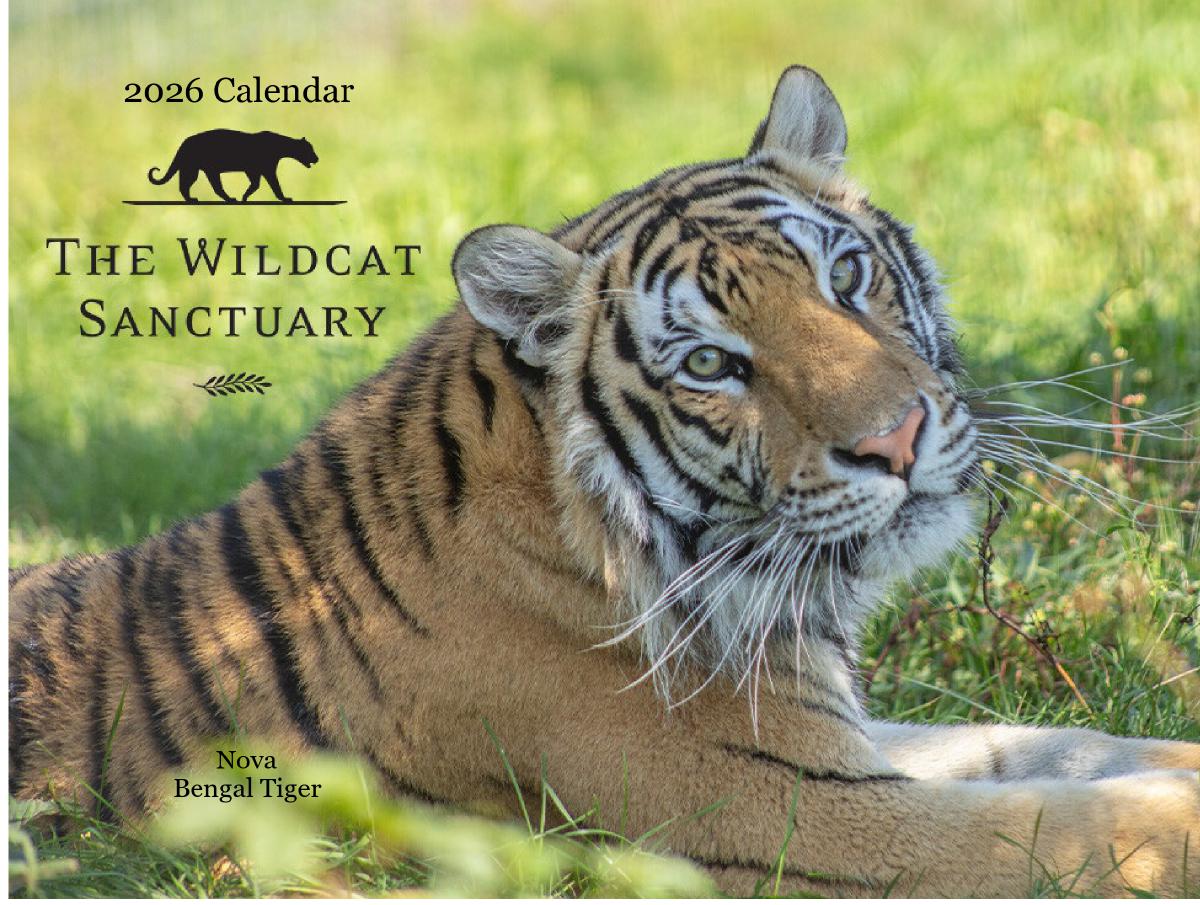 2026 Wildcat Sanctuary Calendar