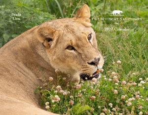 2027 The Wildcat Sanctuary Calendar