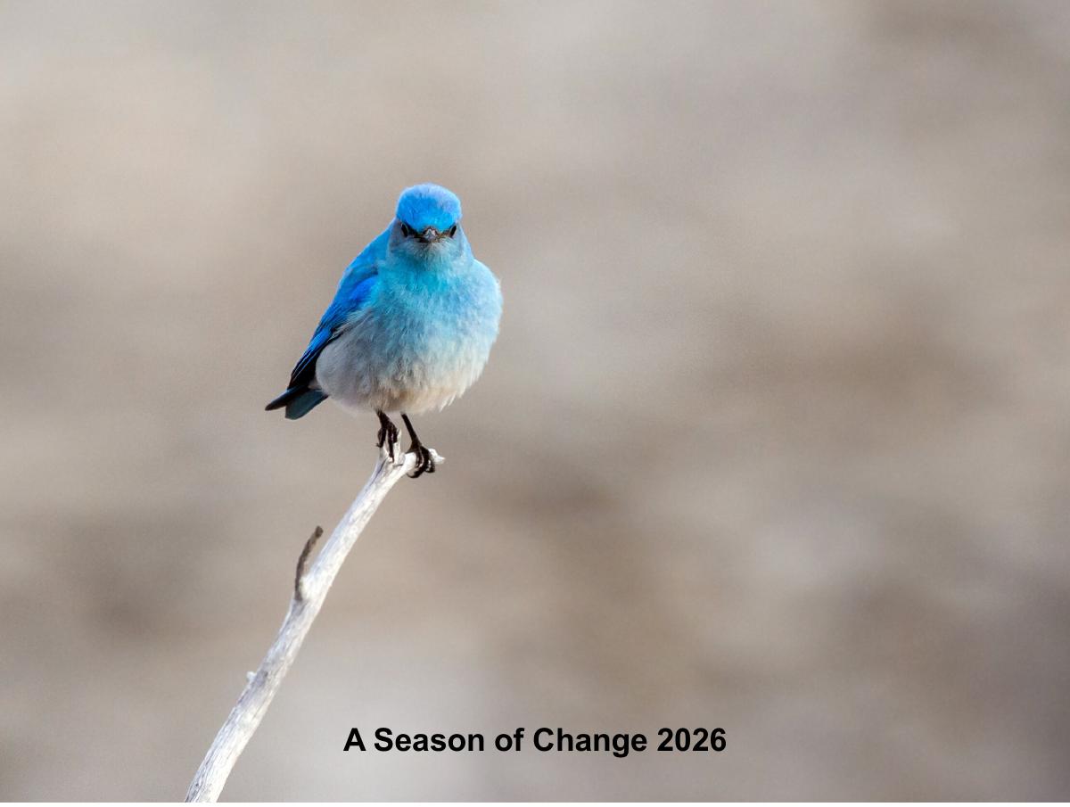 A Season of Change 2026