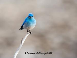 A Season of Change 2026