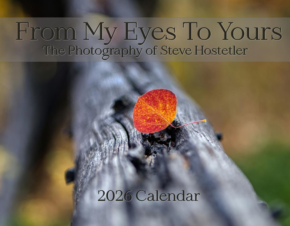 From My Eyes to Yours 2026 Wall Calendar
