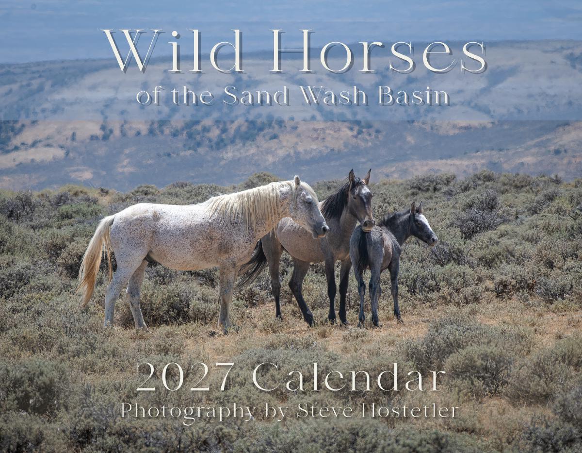 Wild Horses of the Sand Wash Basin 2027 Calendar