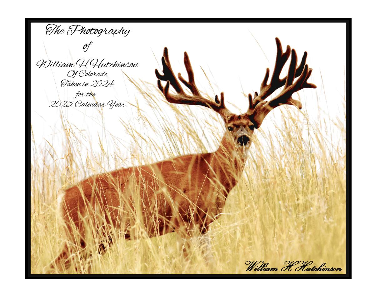 2025 Colorado Wildlife Calendar