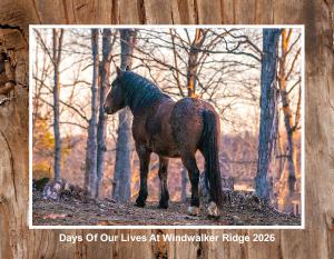 Days Of Our Lives At WRMS 2026 Calendar