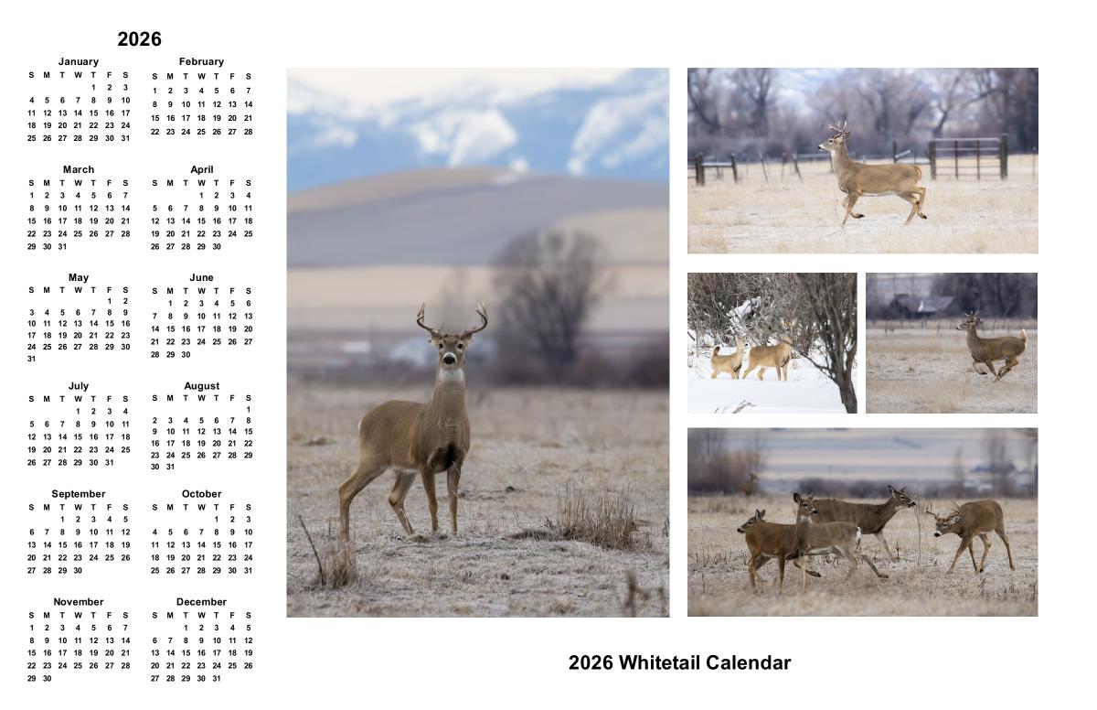 2026 WTP Whitetail Poster Calendar