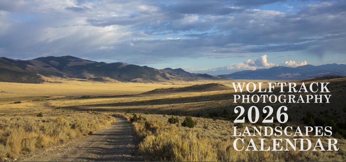 2026 Desktop Landscape Calendar