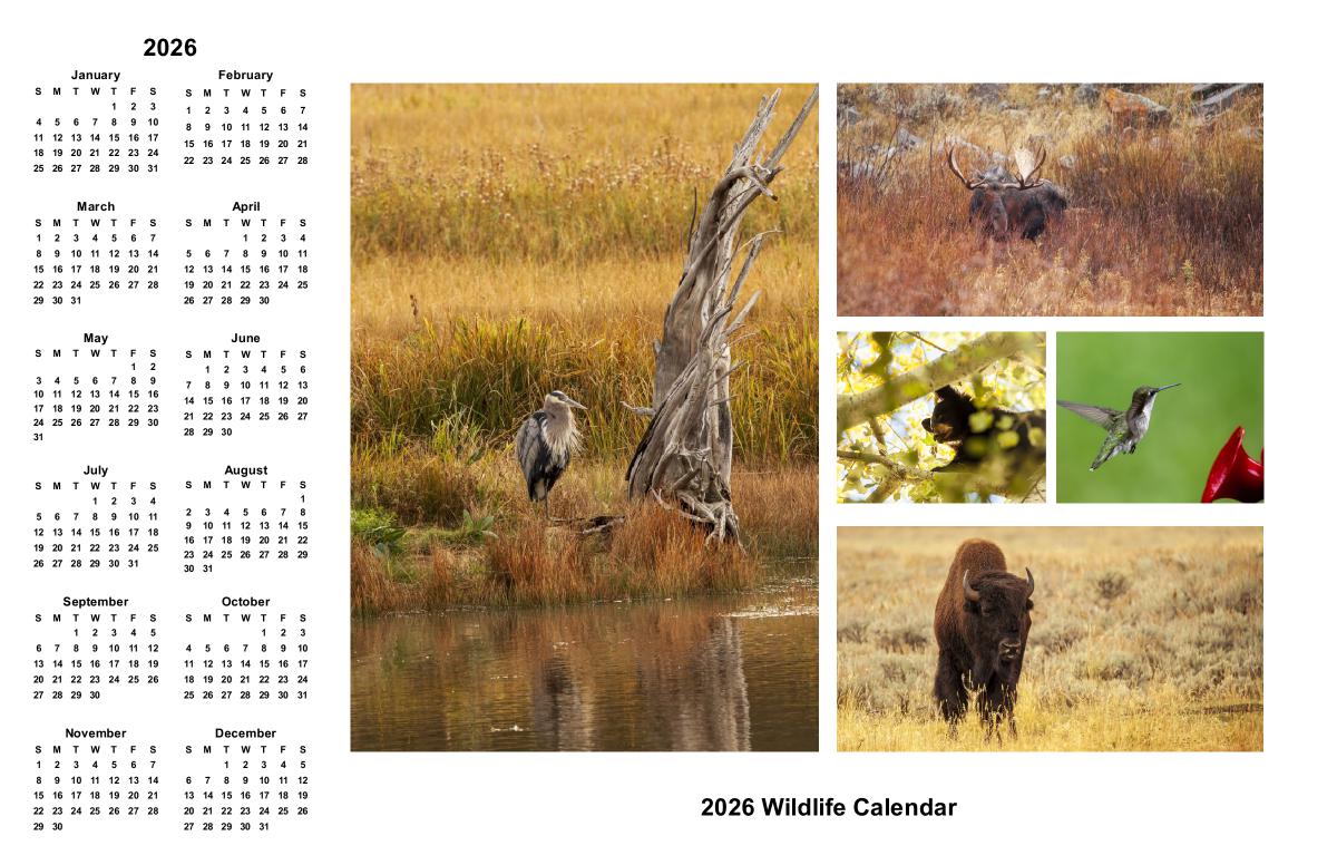 2026 WTP Wildlife Poster Calendar