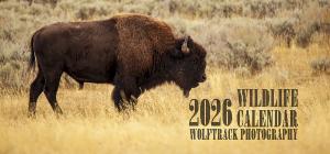 2026 WTP Desktop Wildlife Calendar