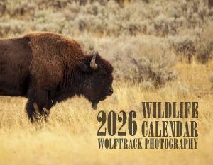 2026 WTP Wildlife Calendar