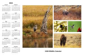 2026 WTP Wildlife Poster Calendar